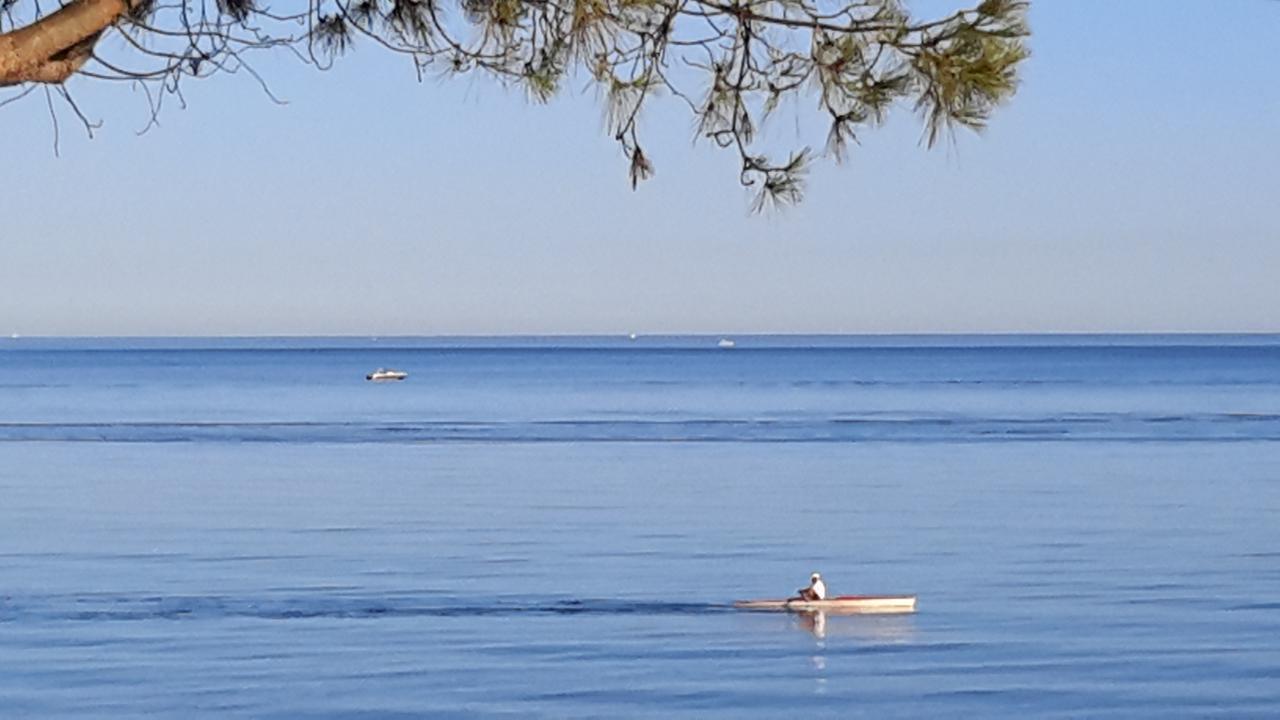 Appart Bleu Azur Apartment Saint-Florent  Luaran gambar